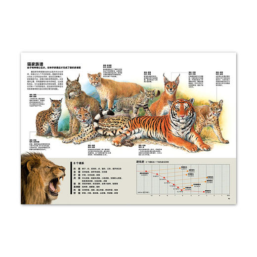 动物志08《亲密关系》 商品图2