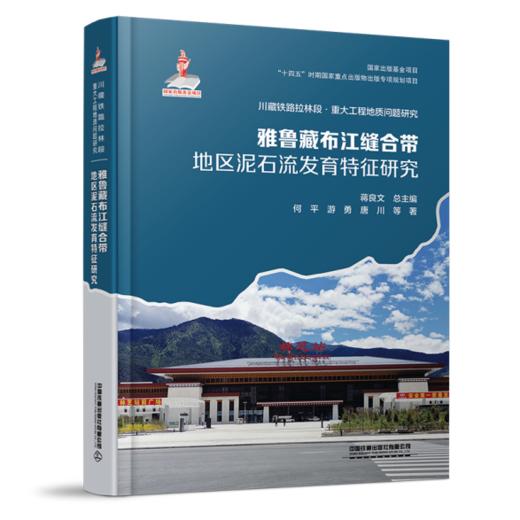 308629雅鲁藏布江缝合带地区泥石流发育特征研究 商品图0
