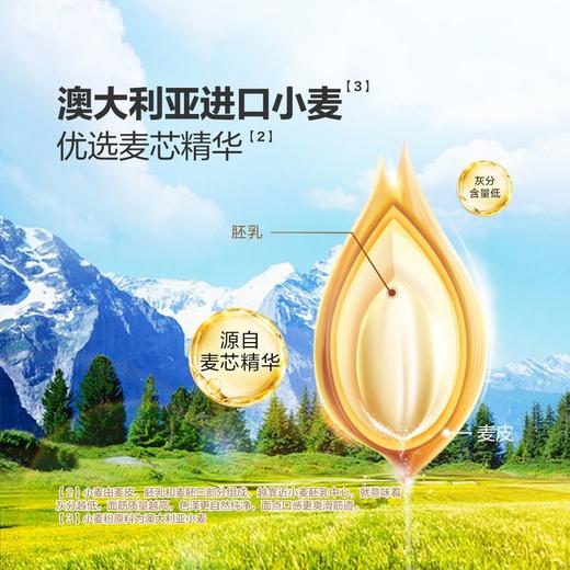 【悦惠精选】金龙鱼低盐扁乌冬空心挂面300g*10 商品图1