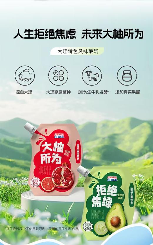 来思尔 牛油果青瓜 西柚石榴 小食袋风味低温酸奶10袋*200g 厂家直发 商品图1