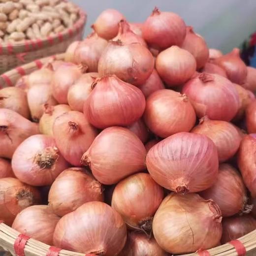 红葱头约200g 商品图0