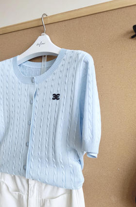 无图【经典款】【商场同款】伊芙丽夏毛衫1G4830081