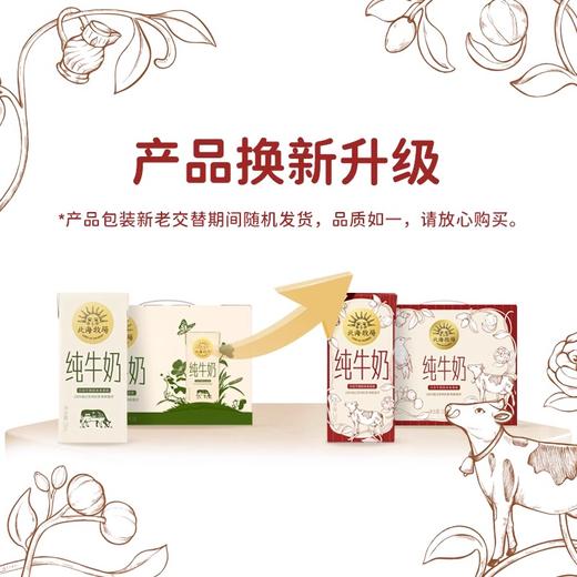 【特惠】北海牧场纯牛奶原味200ml*10 商品图4