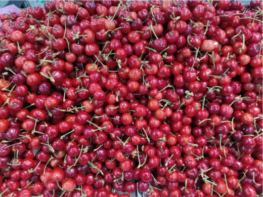 大众樱桃一斤 商品图2