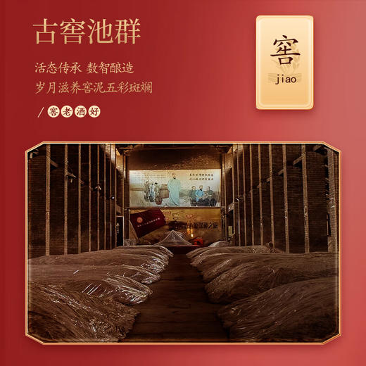 52度诗春秋风雅颂典之风（红）500ml*6整箱 商品图3