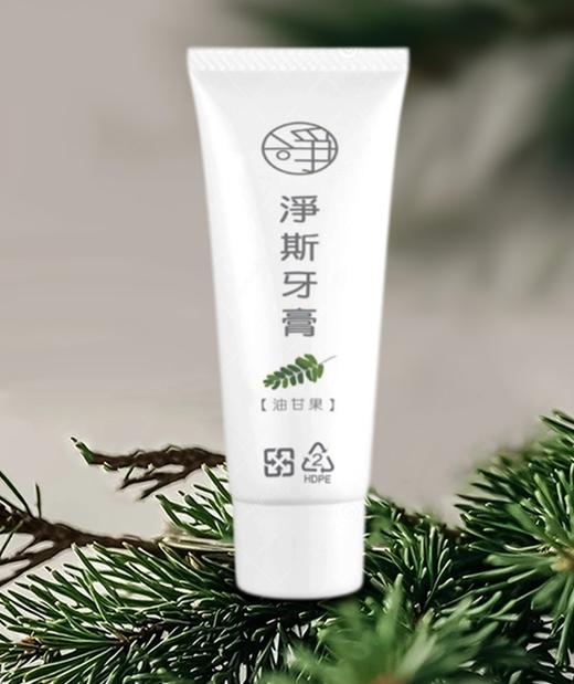 【静思书轩】净斯台湾进口油柑果牙膏90g单支售 台湾直邮不包税 以实际为准   单笔不超过350元人民币 商品图1