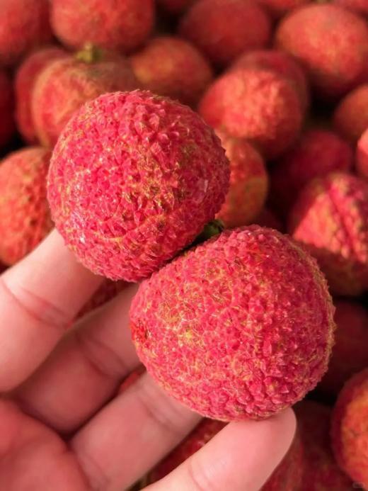 稀缺海南火山口4拼荔枝 商品图6