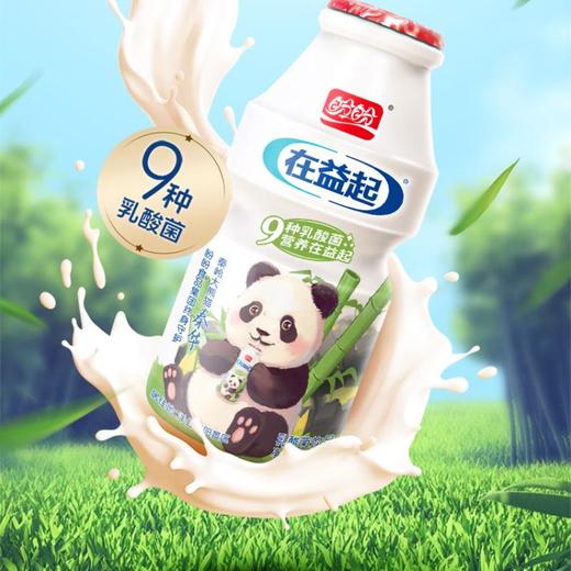 盼盼在益起乳酸菌饮品熊猫版100ml*4瓶*3板/打 商品图0