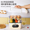 NERF多功能大容量蒸煮锅BT-ZG10 商品缩略图4