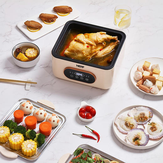 NERF多功能大容量蒸煮锅BT-ZG10 商品图1