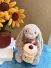 专属快乐暴击！jc兔子蛋糕生日/毕业季生日🎂闭眼送礼不踩雷 商品缩略图5