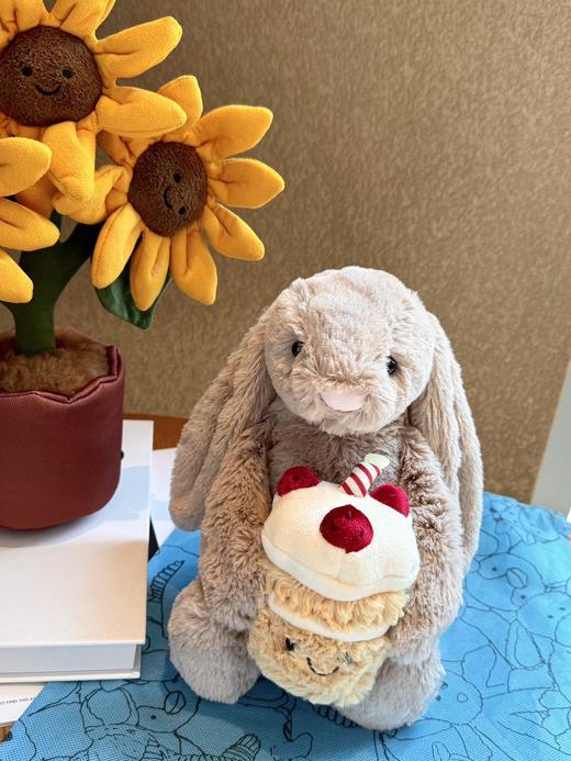 专属快乐暴击！jc兔子蛋糕生日/毕业季生日🎂闭眼送礼不踩雷 商品图5