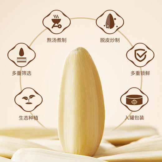 五香葵花子168g/罐 商品图2