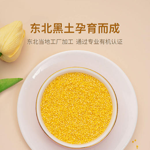 果然生机 道地有机黄小米400g/袋 商品图1