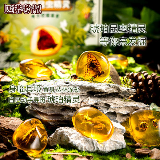 【琥珀昆虫精灵+花卉植物琥珀】匹诺考古挖掘琥珀昆虫精灵玩具考古挖掘宝石琥珀探索寻宝手工玩具 商品图1