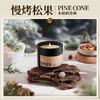 椰放 AIRFUNK 自然之味香薰蜡烛110g 商品缩略图2