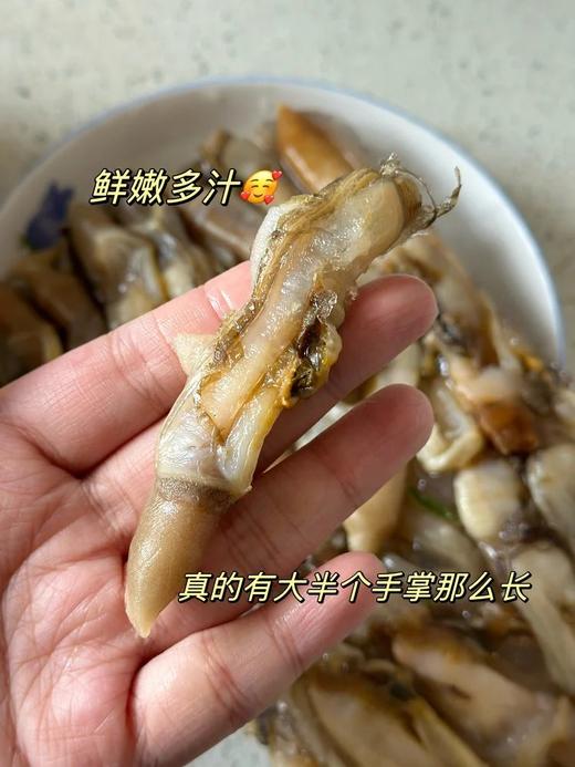 【顺丰包邮】新货99到手整整4斤️野生大颗蛏王肉鱼港码头直发肉质鲜嫩免洗无沙大个头配料表干净顺丰基地直邮 商品图2
