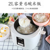 美国nerf拉尔弗电饭煲2L家用迷你电饭煲宿舍蒸饭锅YD-268A 商品缩略图2
