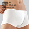 【男士内裤平角纯棉】BEBE STAR纯棉灭菌日抛免洗便捷独立包装出差旅游 商品缩略图4