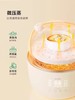 【不接平台单】浦利顿新品电蒸锅小陶气辅食锅宝宝电炖锅PLD-DZG20-20Z 商品缩略图3