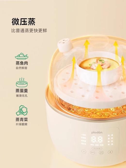 【不接平台单】浦利顿新品电蒸锅小陶气辅食锅宝宝电炖锅PLD-DZG20-20Z 商品图3