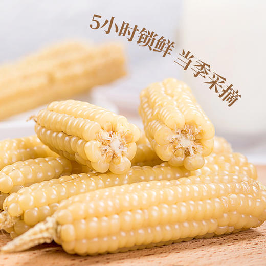 西双版纳拇指小糯玉米4斤 源头直发 商品图4