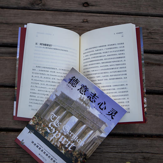 德意志心灵 黄燎宇 著 北京大学出版社 商品图3