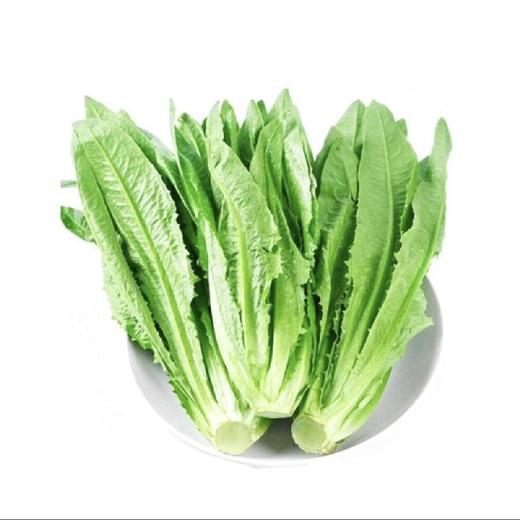 油麦菜约350g/份 商品图0