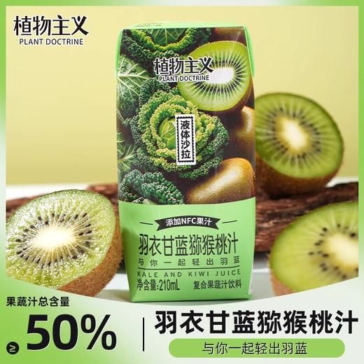 【特惠】植物主义羽衣甘蓝猕猴桃汁210ml*12 商品图1