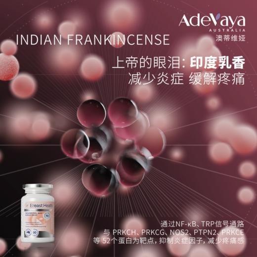 ⁵澳洲进口【乳房健康】胸部和全身结节胶囊60粒/瓶SS06-QTT-ADWY 商品图4