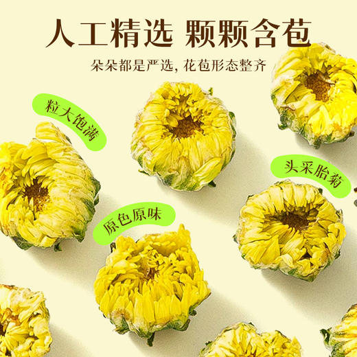 【胎菊】80g/瓶 熬夜爆痘 眼睛干涩 四季灭火 商品图2