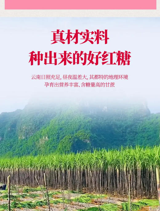 云南昭通巧家红糖高品质 商品图3