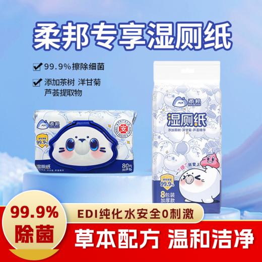 柔邦专享湿厕纸【多规格】 商品图0