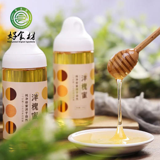 CY-洋槐纯蜂蜜 商品图0