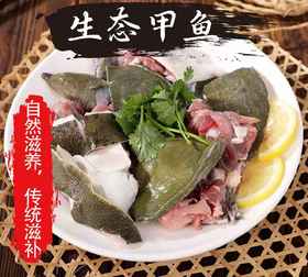 【自提】速冻甲鱼