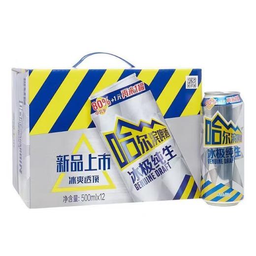 高罐哈尔滨冰极500ml*12 商品图0