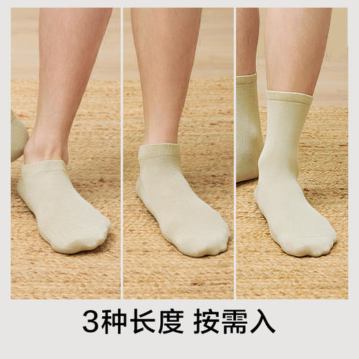【新品上新】【不染色原棉】有棵树抗菌消臭纯棉男士短袜5双装-O2018 商品图5