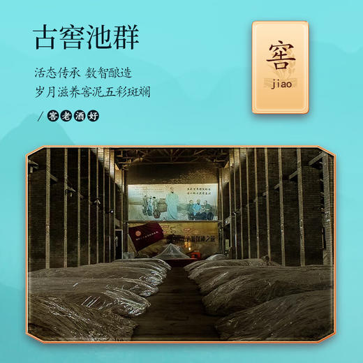 52度诗春秋风雅颂典之风（绿）500ml*6 商品图2