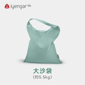 艾扬格  Life 瑜伽沙袋
