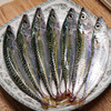 新鲜海钓小青花鱼 商品缩略图2