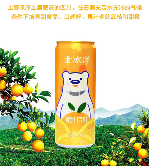 北冰洋听装橙汁汽水330ml*24听-XJ 商品图2