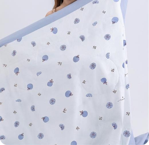 贝彤5A抗菌元气被芯成人被Cb1988蓝色200*230cm 商品图9