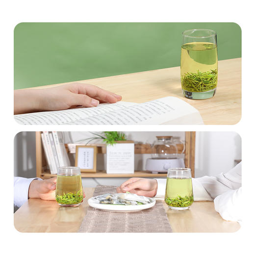 天府龙芽天宫春芽绿茶50G/3袋 商品图3