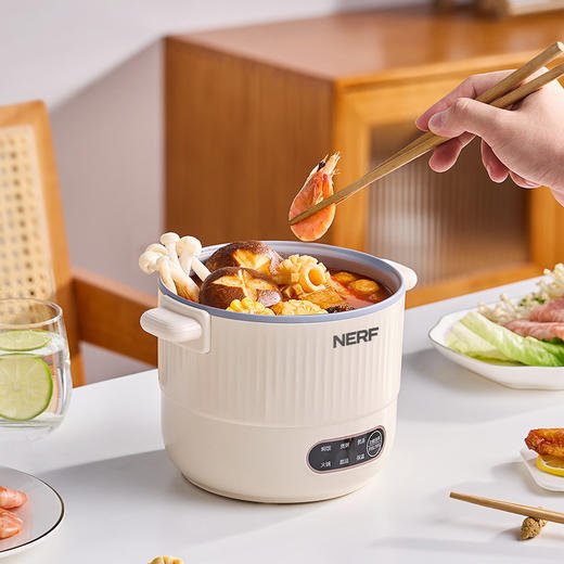 NERF拉尔弗多功能钛电煮锅RC-D615B 商品图0
