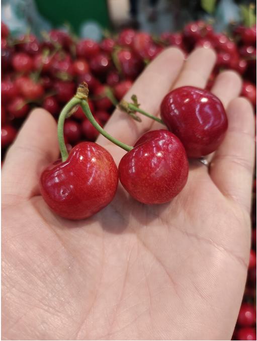 大众樱桃一斤 商品图0