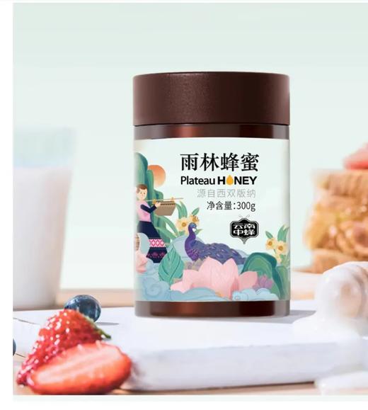 云南西双版纳雨林蜂蜜 商品图1