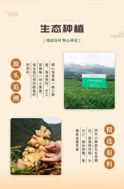 姜来无忧-足浴液  共400ml(8袋*50ml)【孕妇不可用】 厂家直发 商品图4