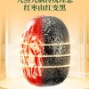 【悦惠精选】好想你黑金枣900g 商品缩略图3