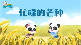 《忙碌的芒种》