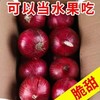 贵安紫皮洋葱5斤/10斤新鲜洋葱现挖现发圆葱头批发价农家自种当季精品大果5斤 商品缩略图2